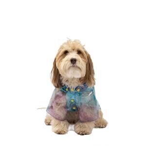 NEW SILVER PAW kinney dog translucent raincoat in multi